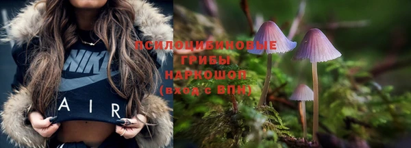 винт Саяногорск