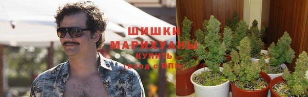 стафф Балахна