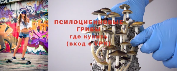 молекула духа Семёнов