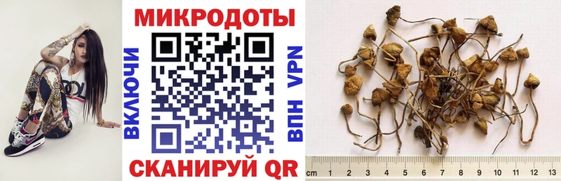 Галлюциногенные грибы прущие грибы  наркотики  Чехов 